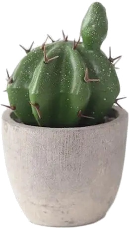 Image Mini Potted Cactus