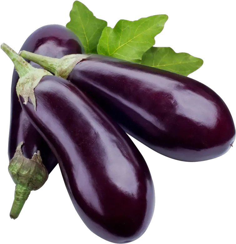 Eggplant Png Image Eggplant Png
