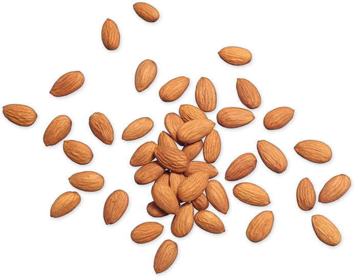 Almond Png Nuts Png Top