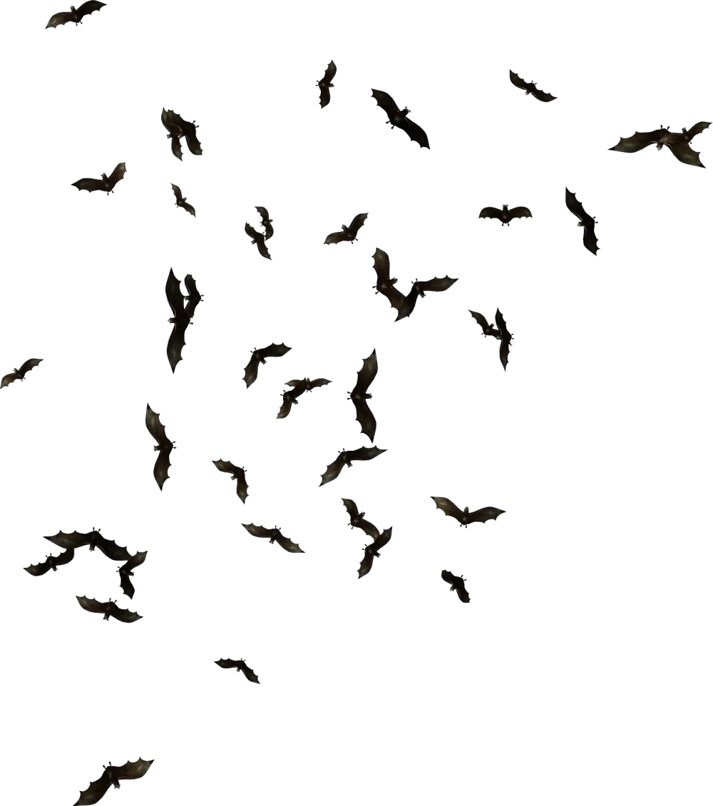Bat Png Free Download Bats Png