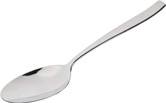 Modena Solid Serving Spoon Spoon
