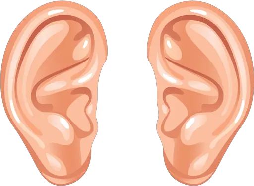 Ear Download Png Human Ear Ear Clip Art