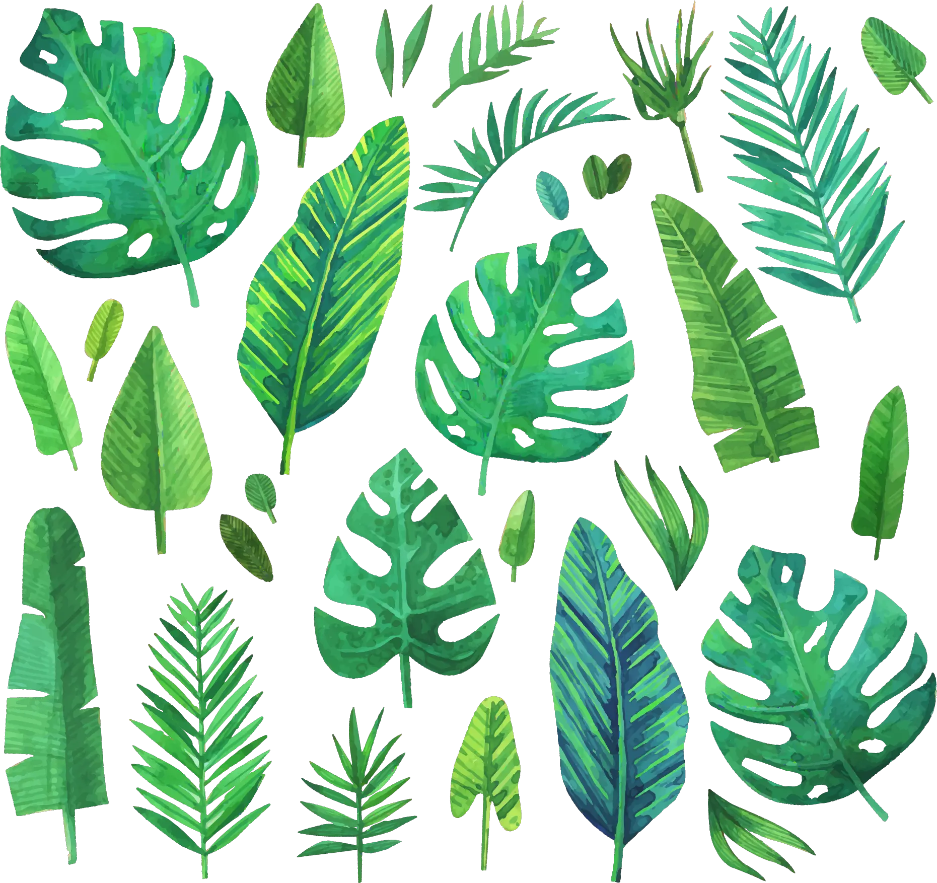 jungle jungleleaf jungleleaves leaf leaves green Watercolor Jungle Plant Png