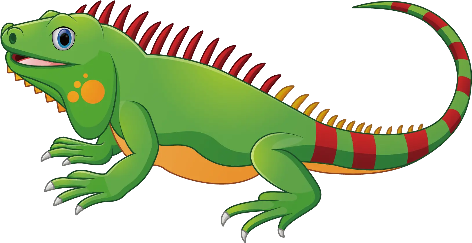 Lizard Chameleons Green Iguana Reptile Iguana Clipart Png