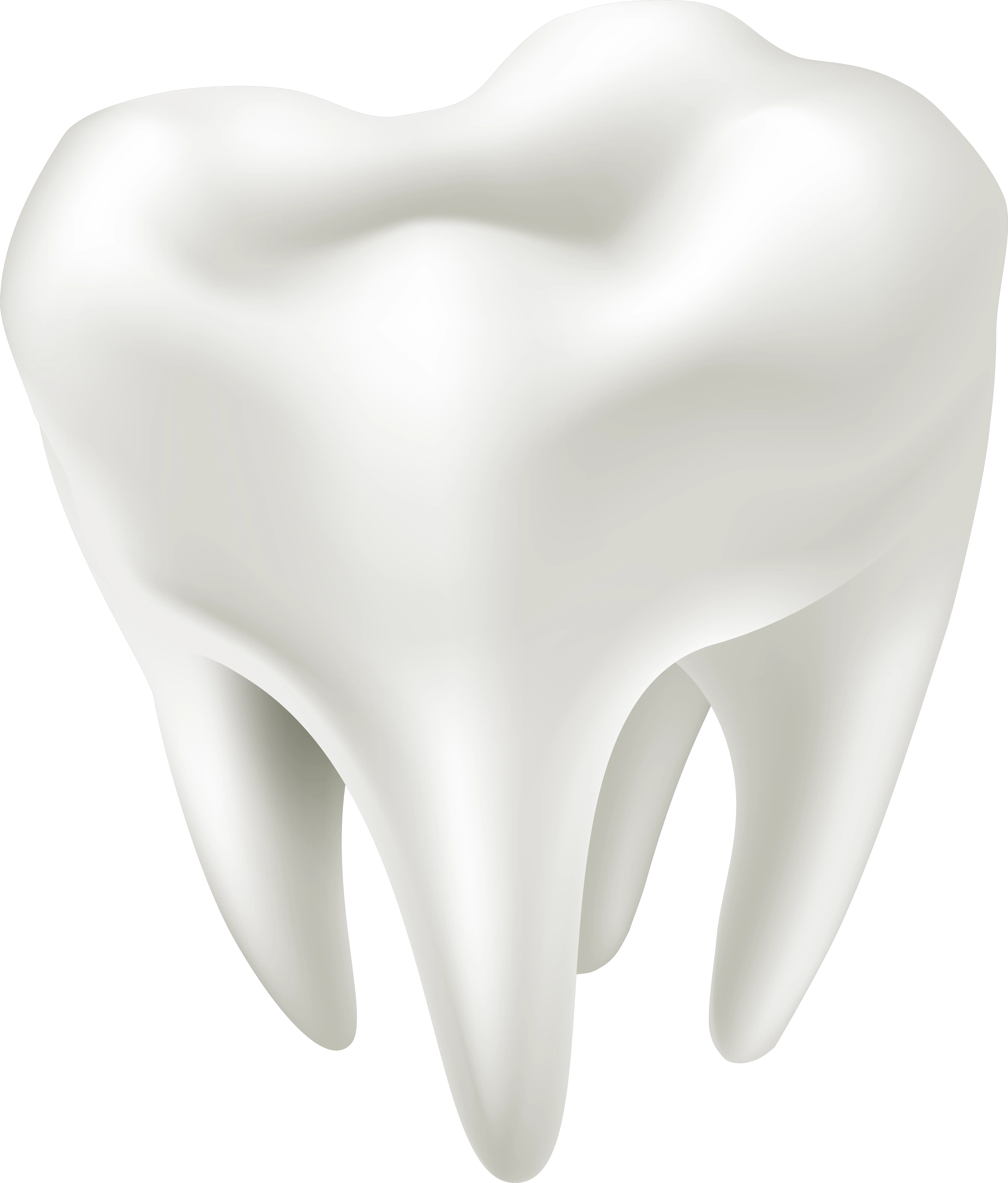 3d White Tooth Png Clip Art