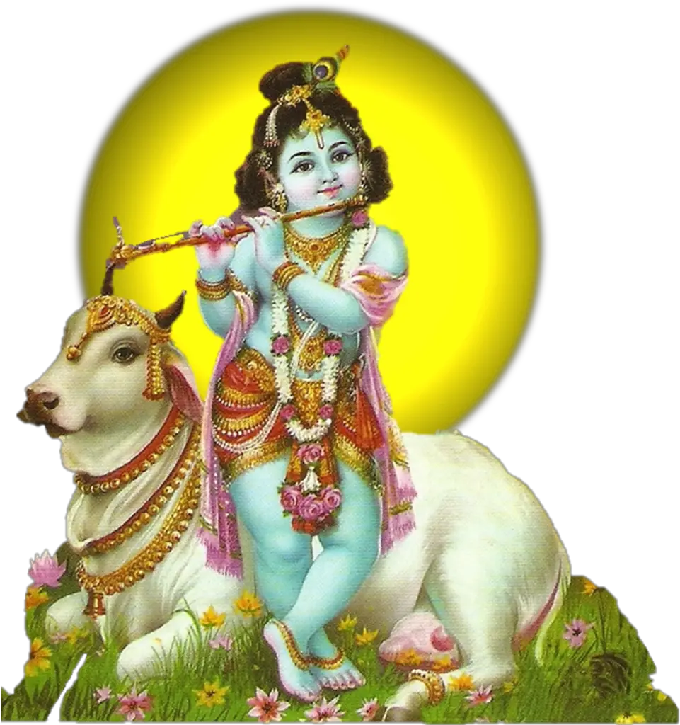Krishna Janmashtami Krishna With Cow Png