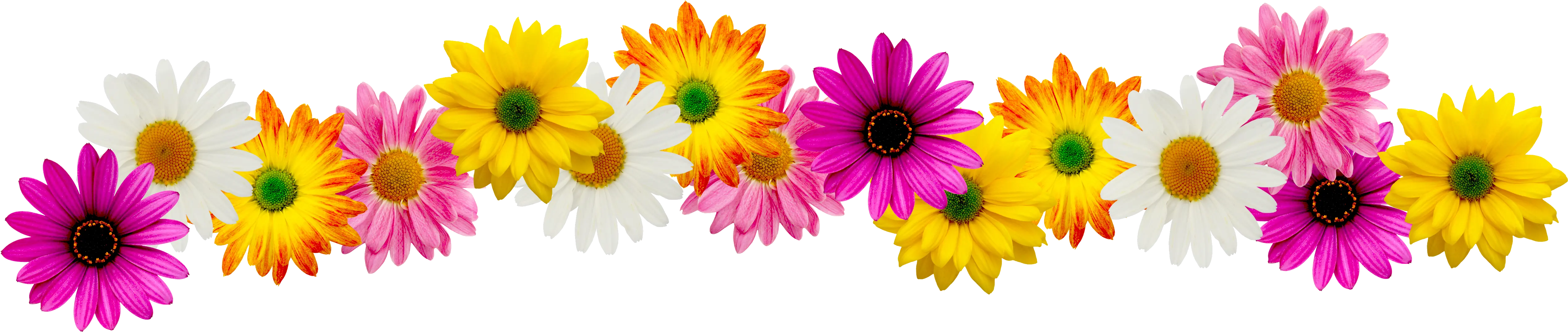 Spring Flower Border Clipart Spring Flowers Clip Art Border