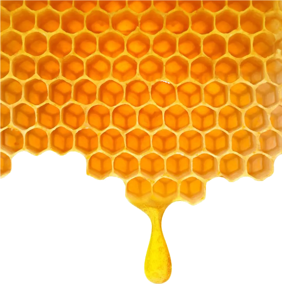 Poly Honey Honeycomb Png Download Honey Comb Clip Art