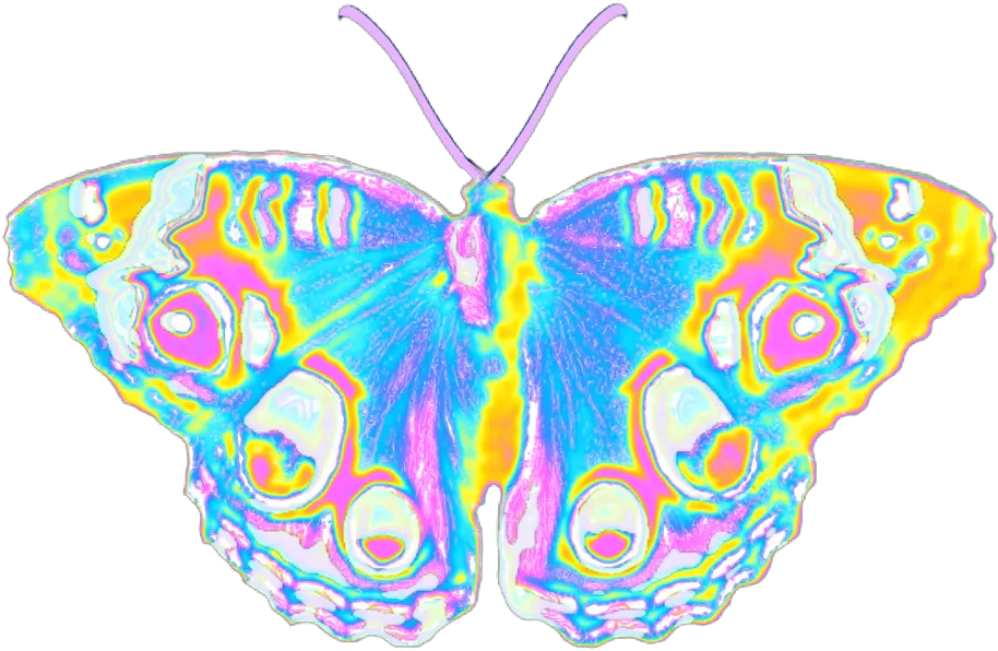 butterfly holographic pastel wings spring summer Swallowtail Butterfly