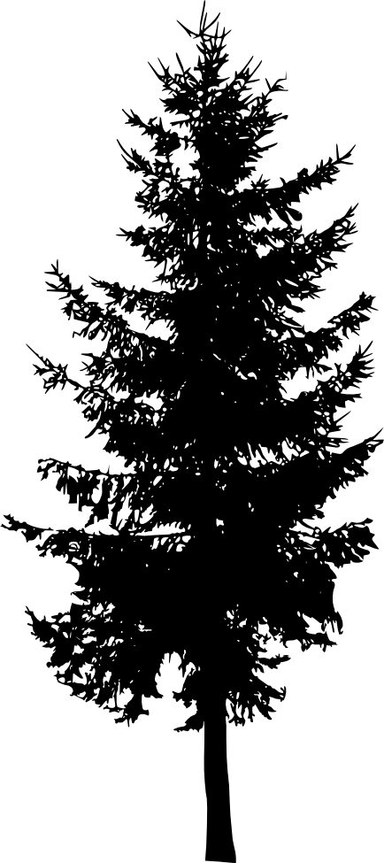 Fir-tree Png Image With Transparent Background Silhouette Pine Tree Png