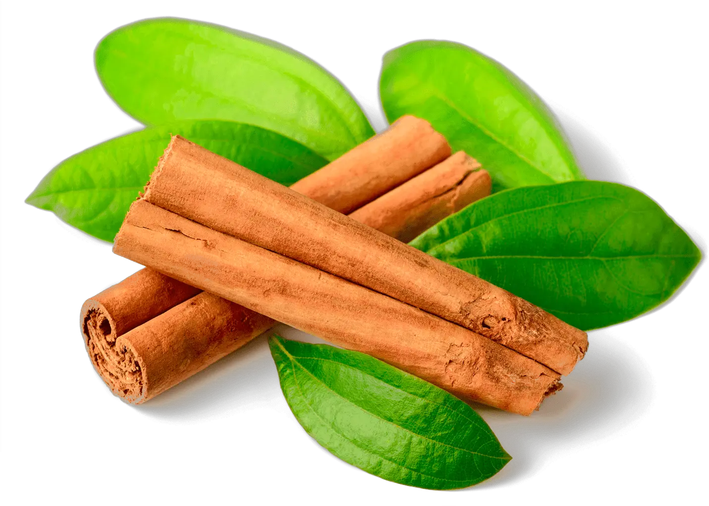 Cinnamon Leaves Powder