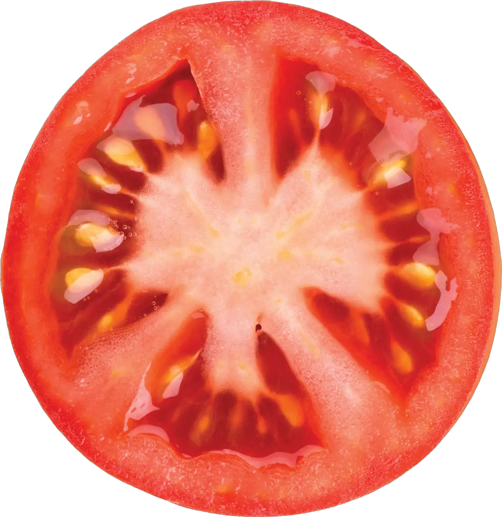 Tomato Slice Transparent Background