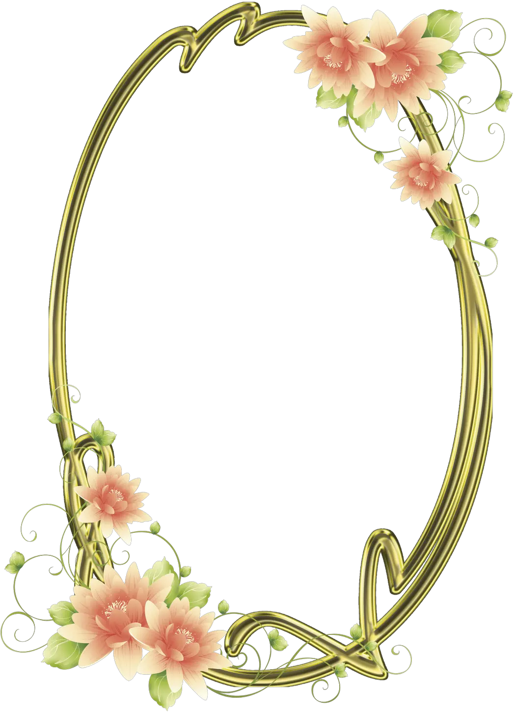 Transparent Oval Frame Png Oval Flower Frame Png