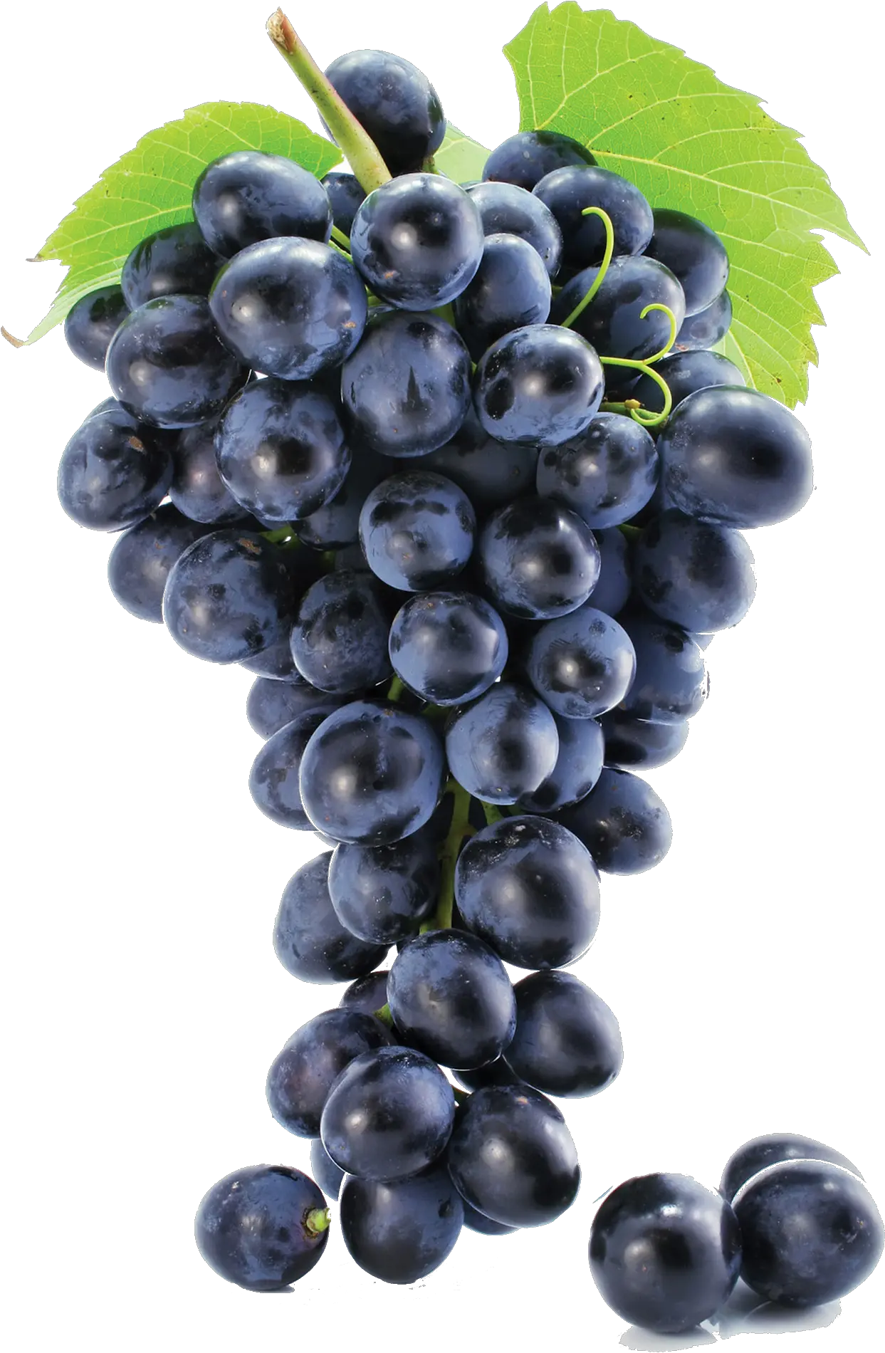 Black Grapes Png Free Background Grape Png