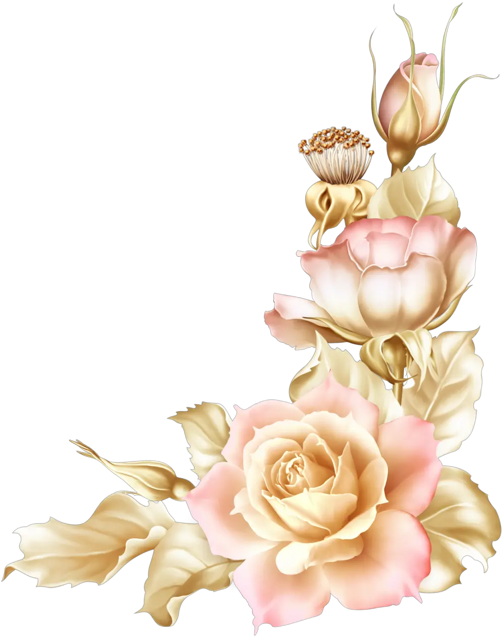 Baroque Vector Vintage Rose Wallpaper Tulip Flower Border Design