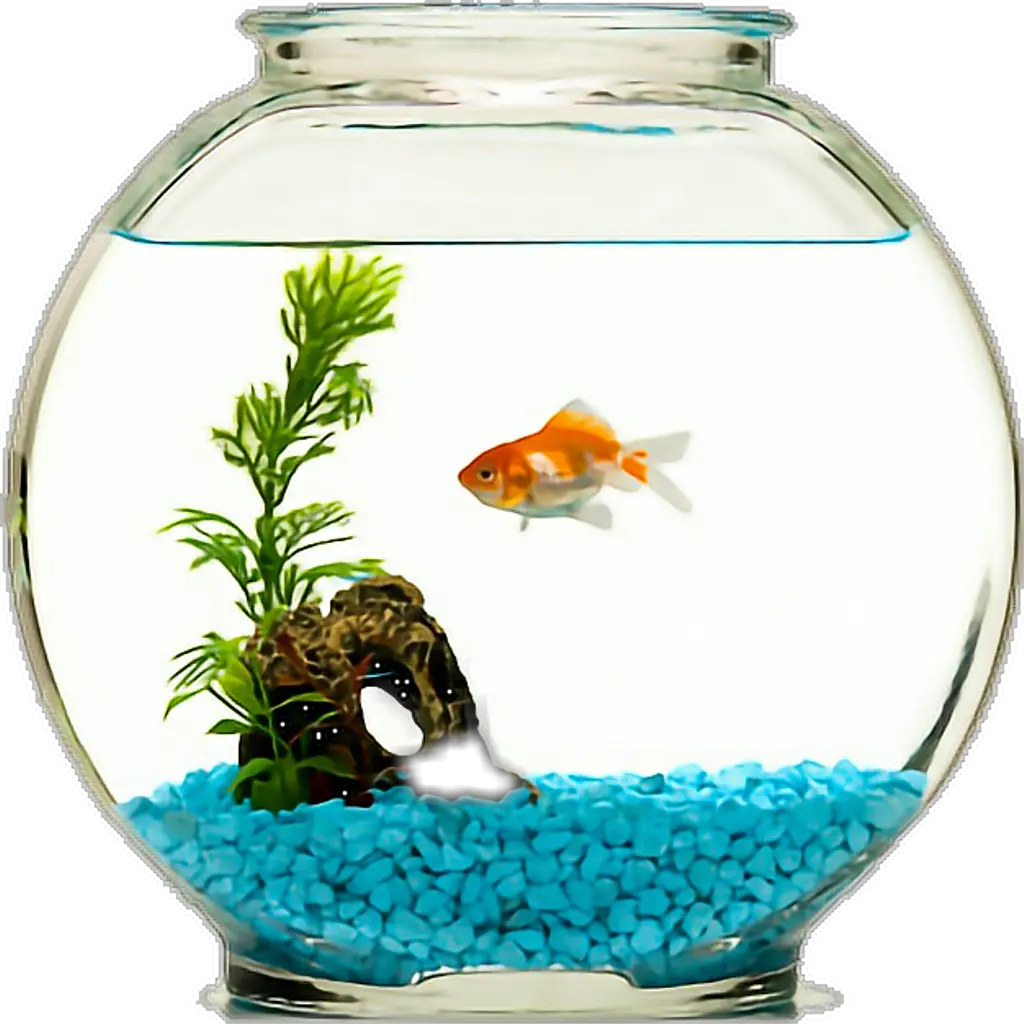 Goldfish Bowl