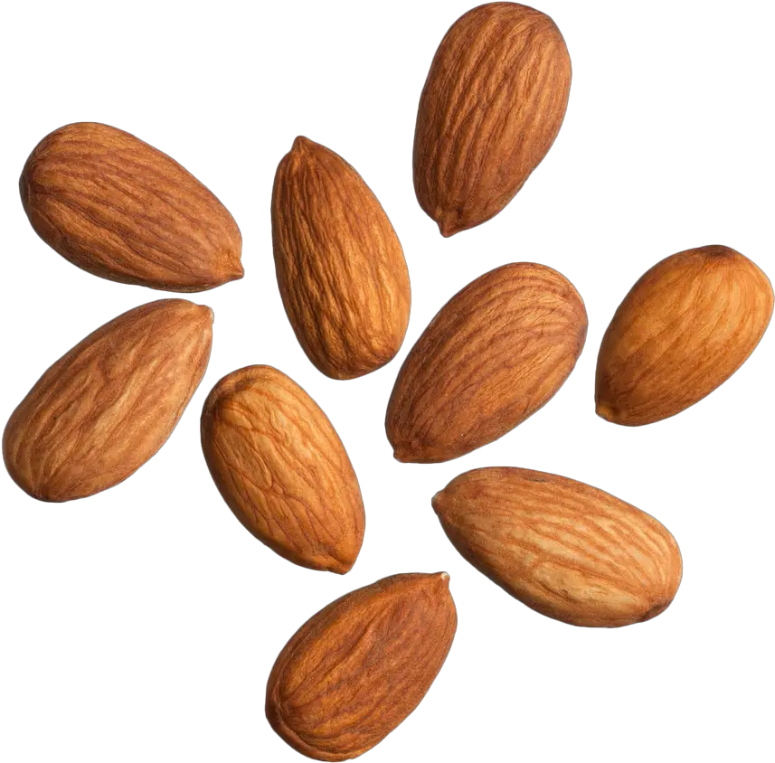 Almonds White Background