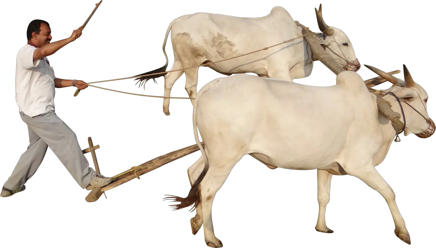 Farmer Png Indian Farmer Images Png