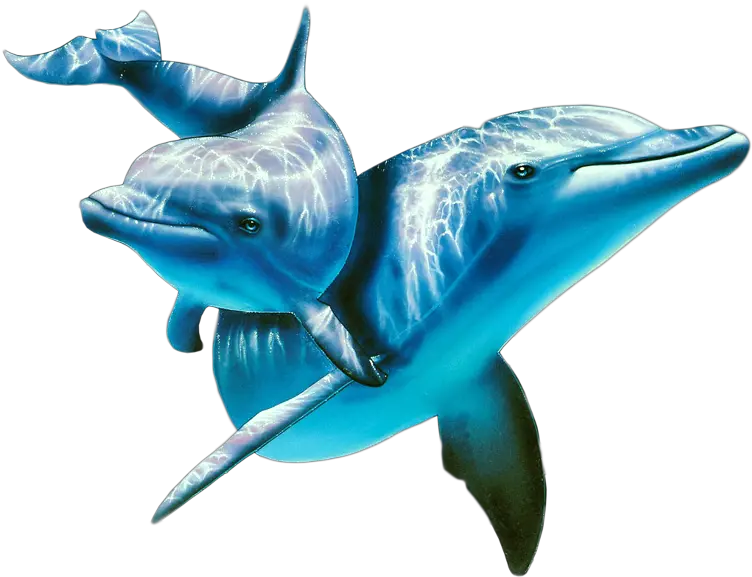 Dolphin Png Free Download Dolphins Under Water Transparent