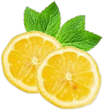 Lemon Png Top View Mint And Lemon Png