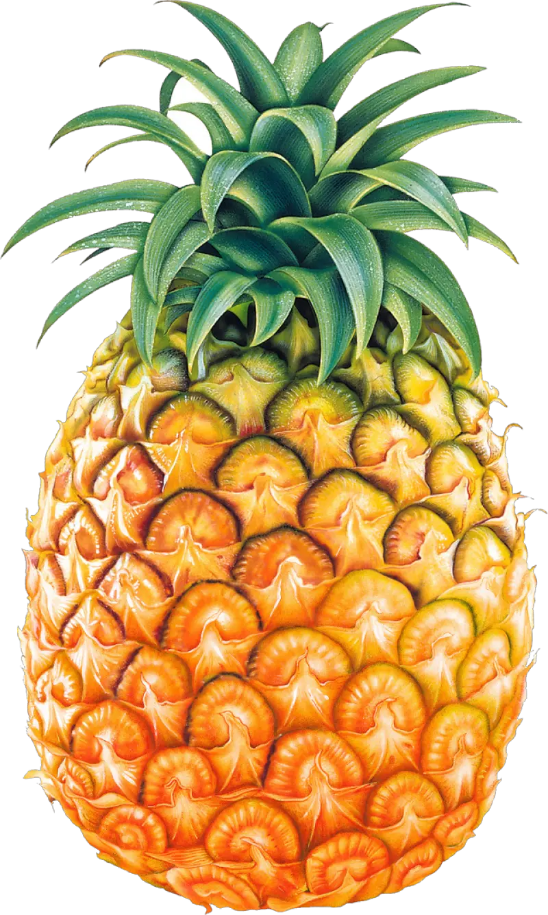 Pineapple Fruit Png Image Pineapple Png