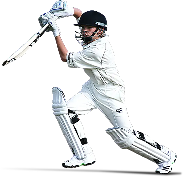 Cricket Png