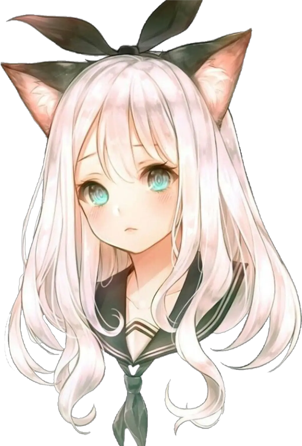anime girl cat animecat girlcute animegirl animecat Kawaii Anime Girls White Hair Ár