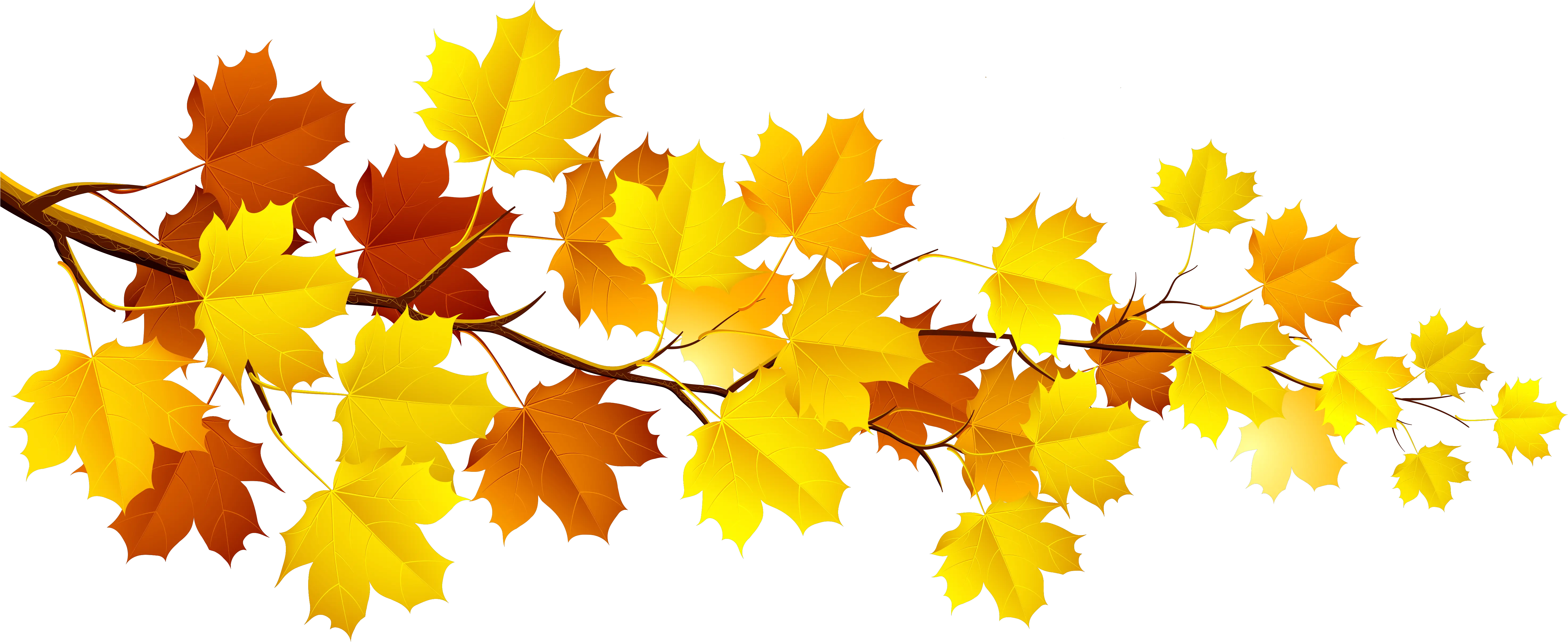 Fall Tree Branch Clipart