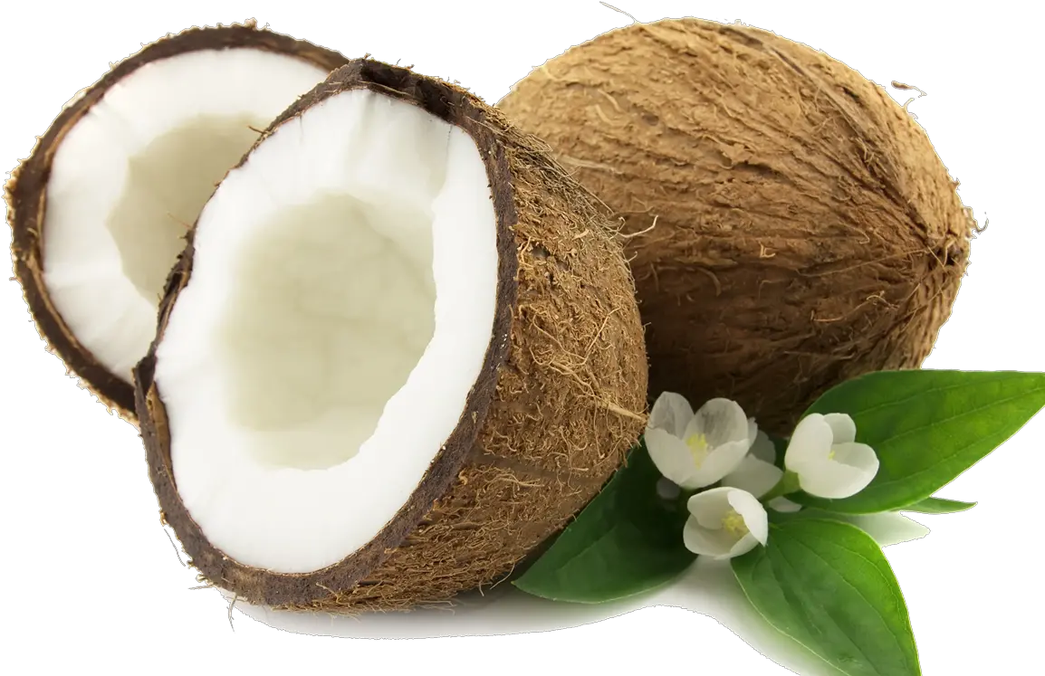 Coconut Png Png Image Coconut Png