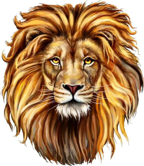 Lion Clip Art Png Image Free Download Searchpng Draw A Lions Mane