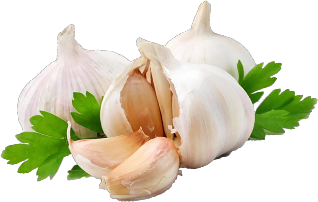 Garlic Png