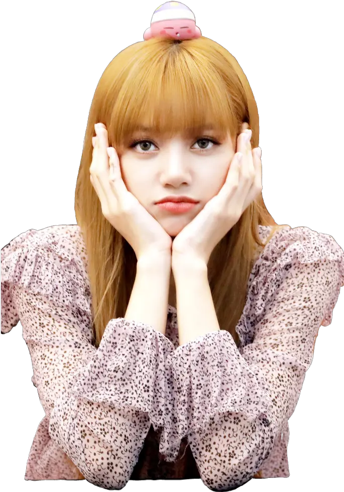lisa Blackpink Lily Blackpink