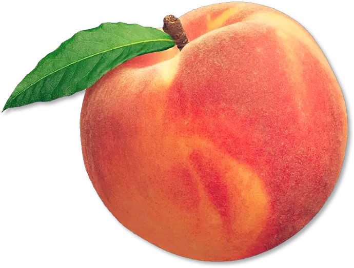 peach fruit aesthetic freetoedit Fruit Peach
