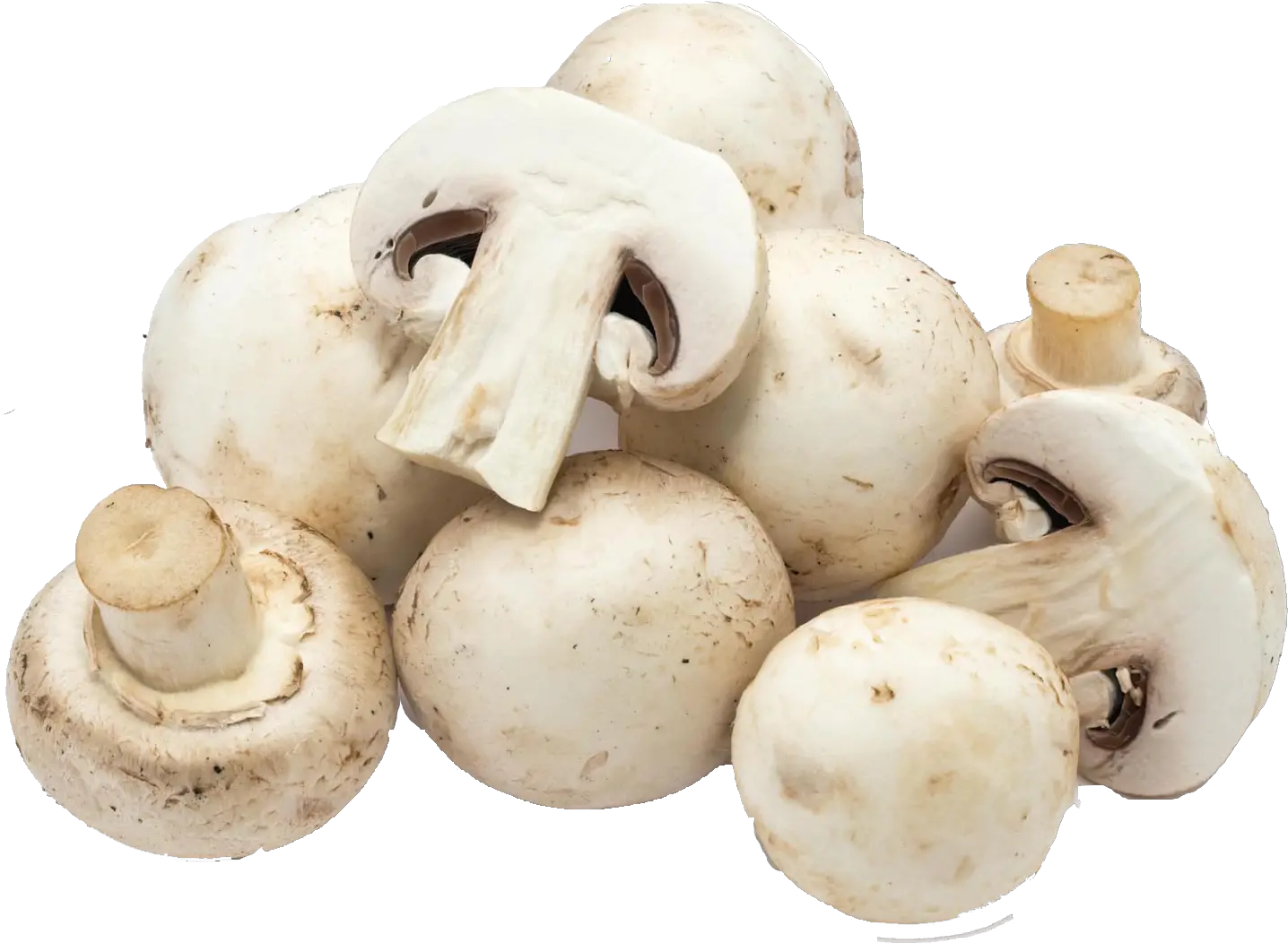 Mushroom Png Free Download White Mushroom