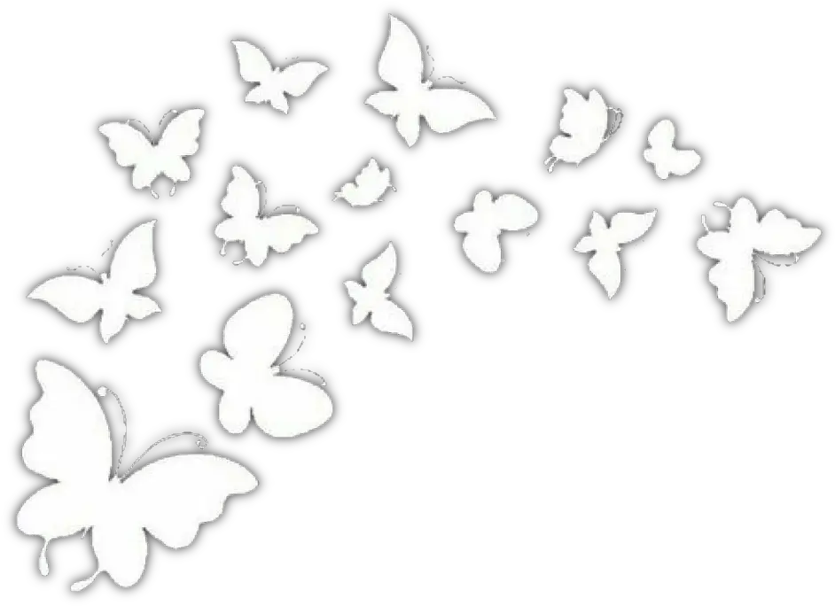 white butterflies overlay freetoedit Belizean Flag Butterfly