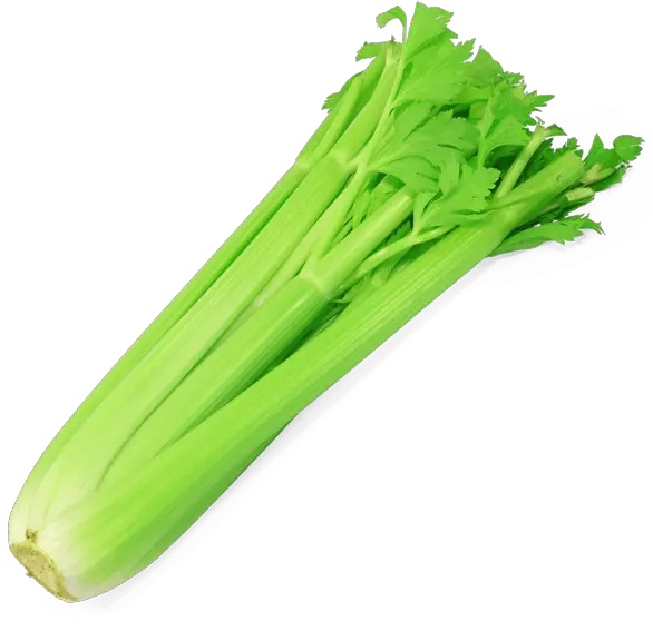 Transparent Celery Png Celery Png