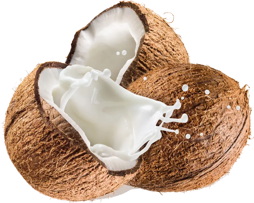 Coconut Transparent Background Png Transparent Background Coconut Png