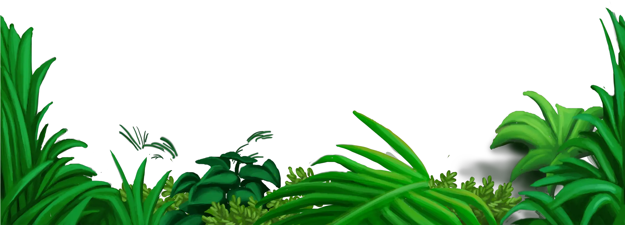 Flower Overlays Png Jungle Flowers Png