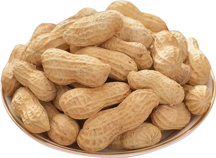 Peanut Png Transparent Background Peanuts Png