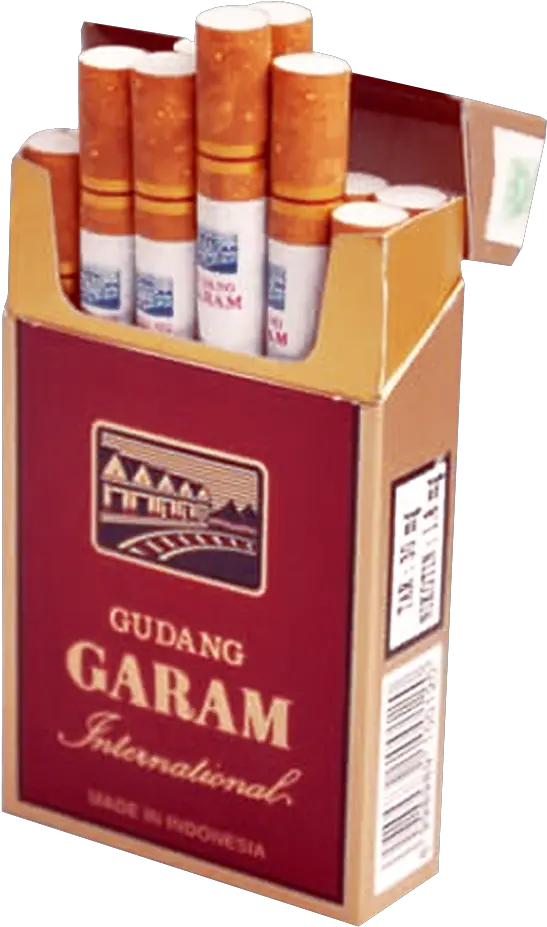 Gudang Garam International1 Gudang Garam Filter International