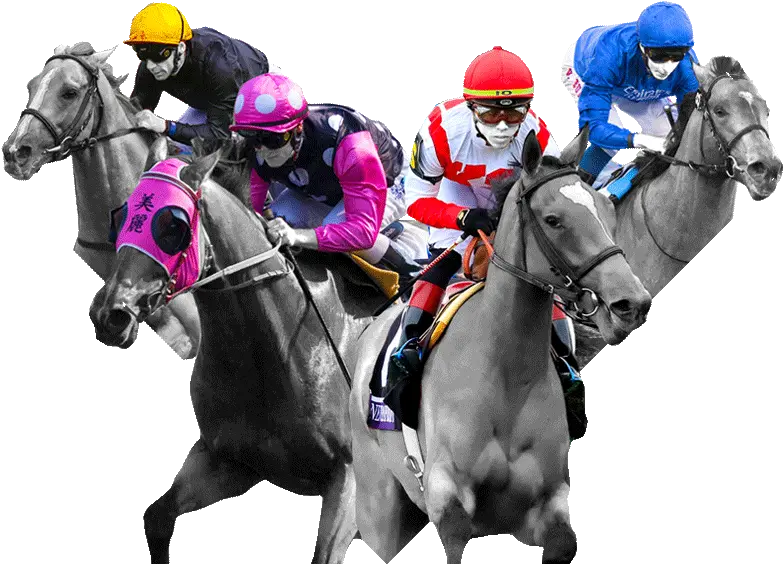Transparent Horse Racing Png Horse Racing Transparent