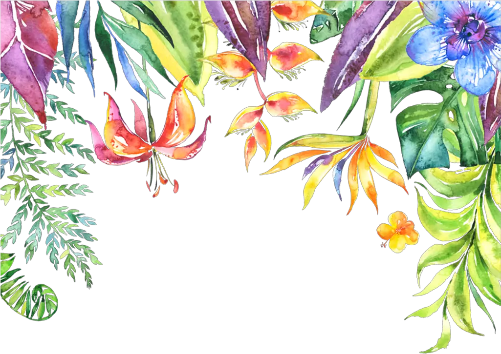 Tropical Leaves Flowers Plants Border Transparent Tropical Leaves Background