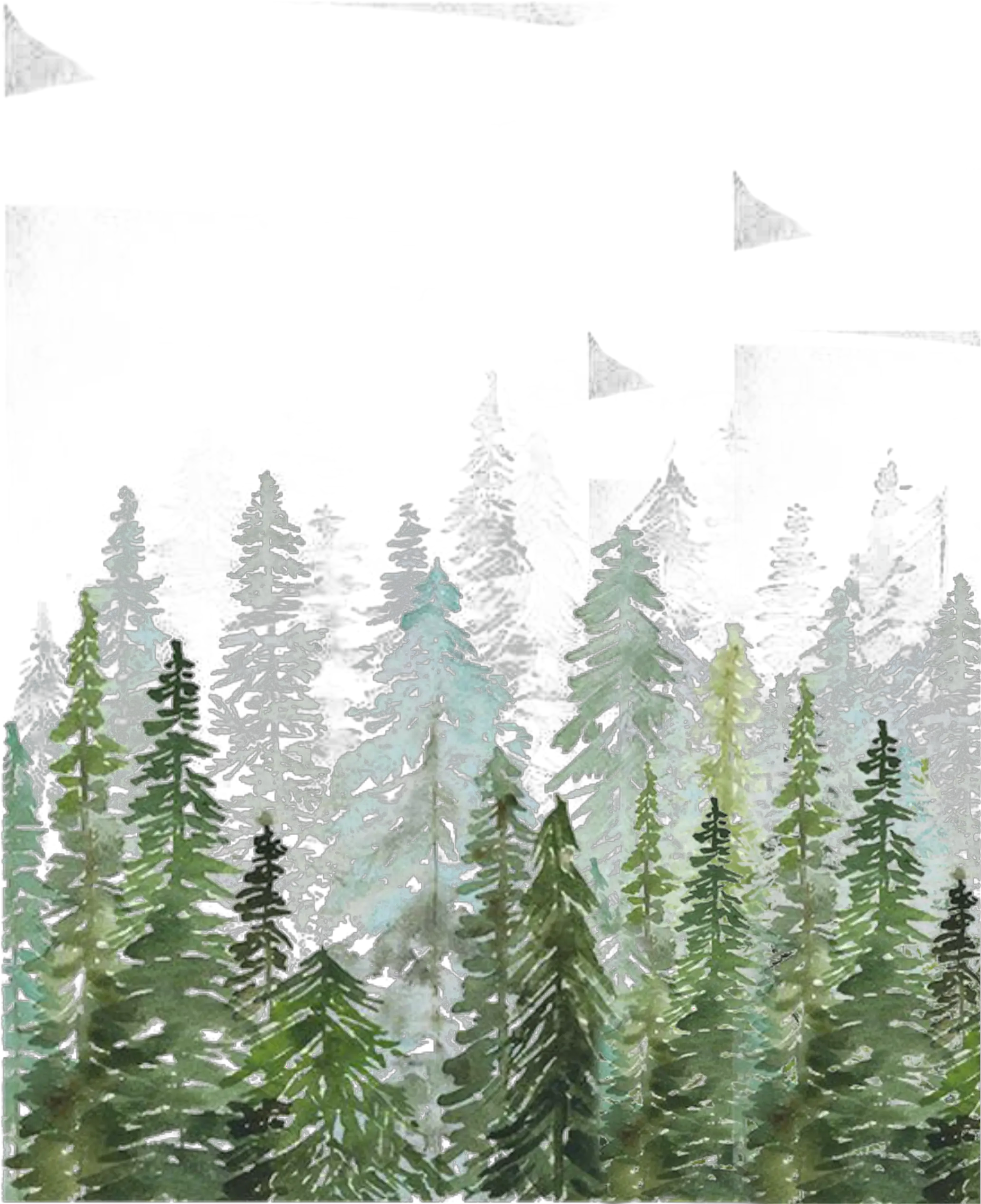 florest freetoedit Watercolor Pine Tree Forest