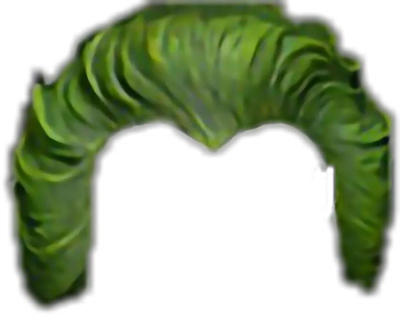 Freetoedit Joker Hair Green Freetoedit Picsart Joker Hair Png