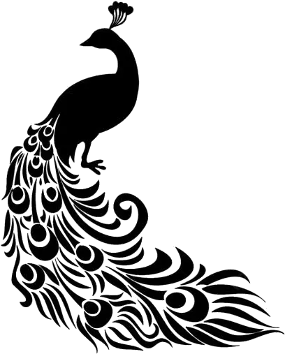 Peacock Silhouette Png