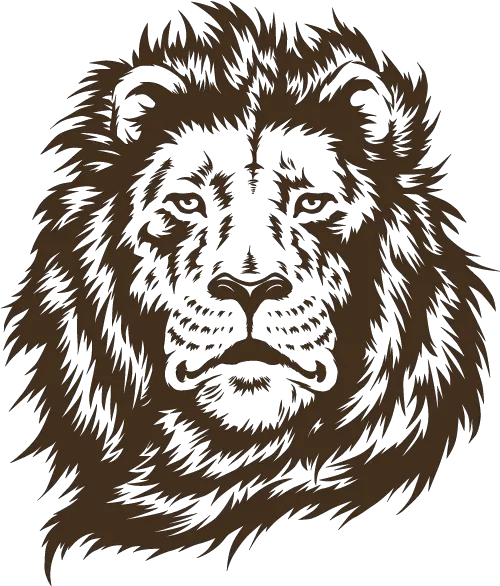 Lion Paper Amazon Png Of Lion Face