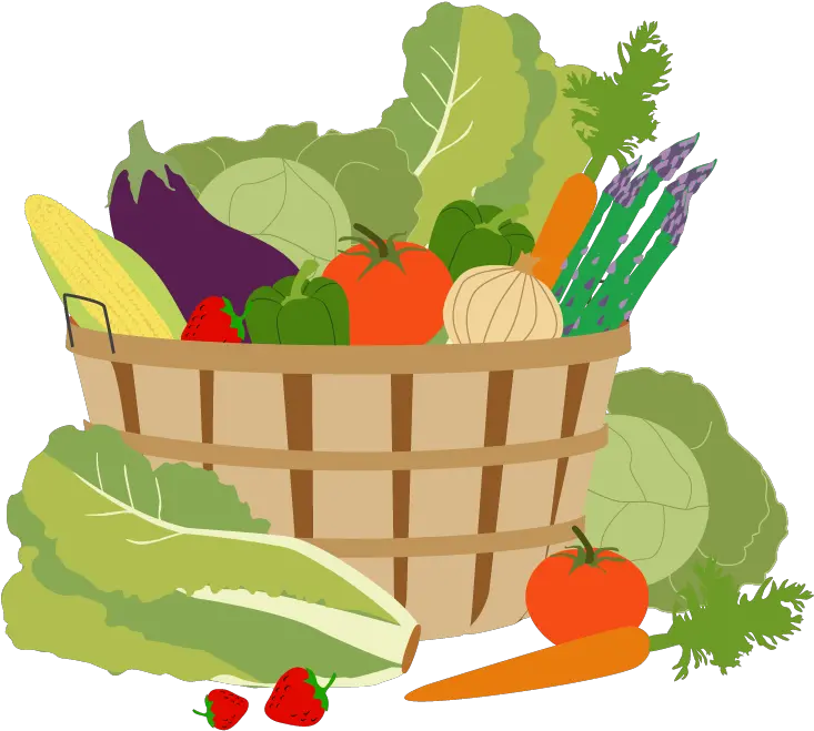 Garden Vector Vegetable Vegetable Garden Png Clipart
