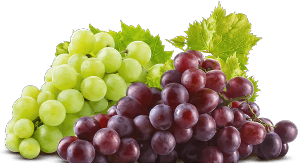 Red Grapes