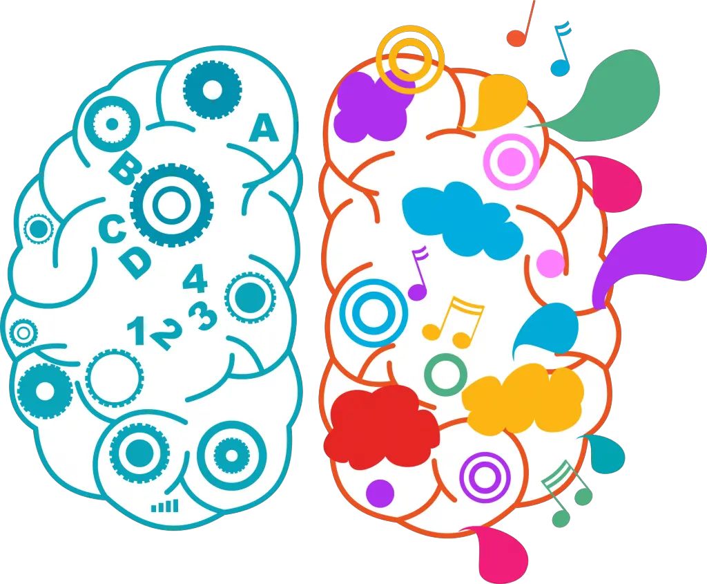 Creative Clipart Left Right Brain Right Brain Left Brain Transparent