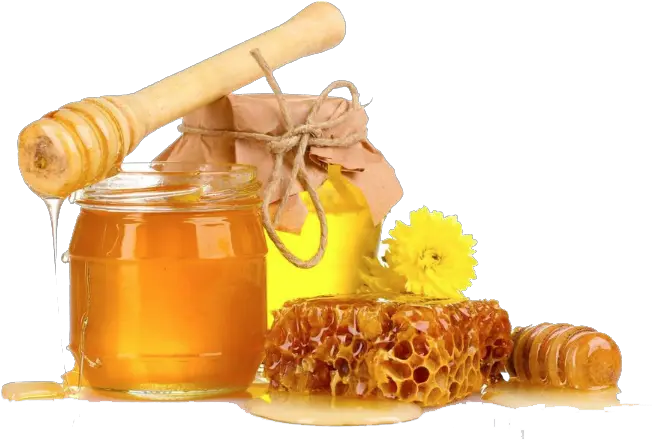 Download Honey Transparent Png For Designing Projects Transparent Background Honey Png